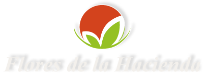 Flores de la Hacienda - 